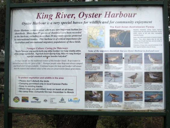 Local wildlife information board for King River and Oyster Harbour area - Lower King Bridge Reserve.